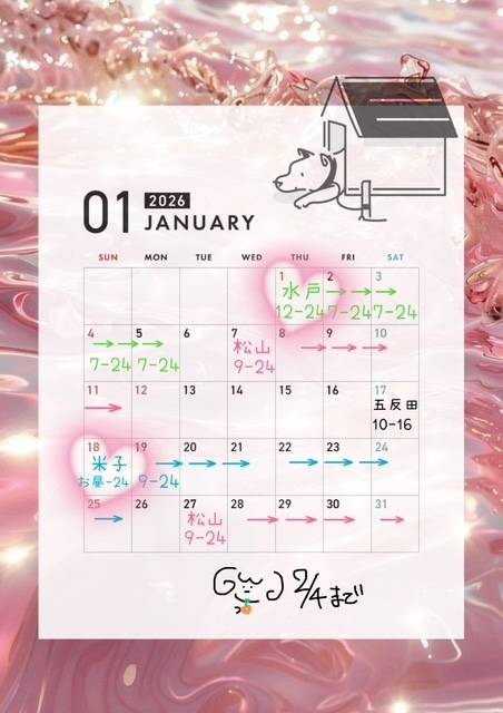 🐑1月の追加散歩🐑