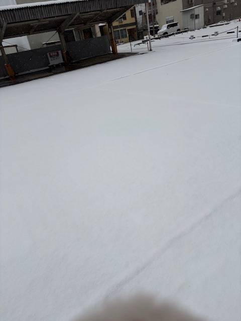 足跡をつけたくなる🐾