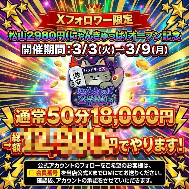 2980円でにゃんにゃん🐾