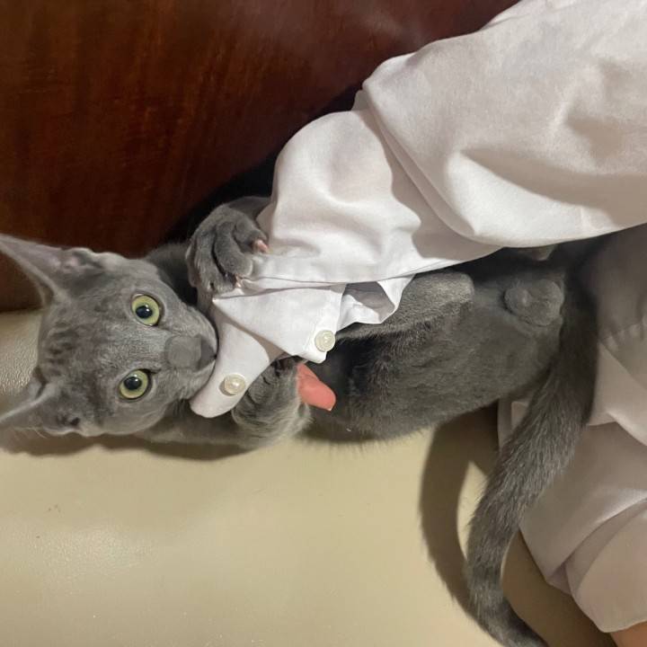 明日から出勤するお🫶🏻