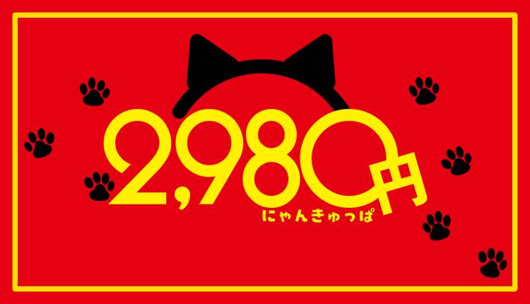 お知らせです📢