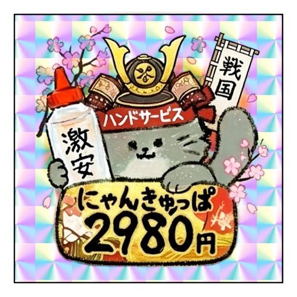 主役は…看板猫のエビス🐱💗