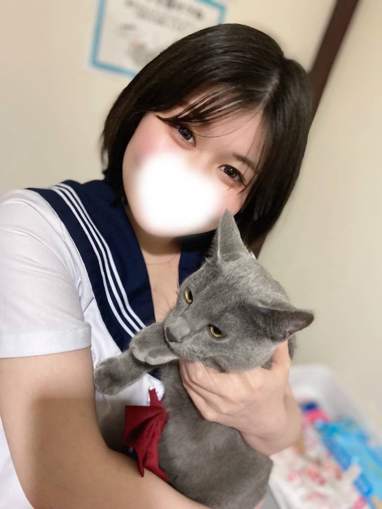 今日はにゃん😺にゃん😺にゃん😺の日