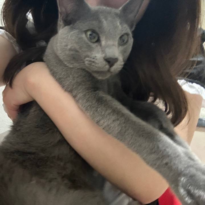 優しくしてね🐿️