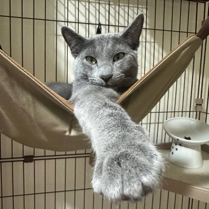 22:00頃まで🈳です🥲