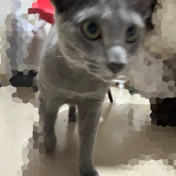 尊い生命体である