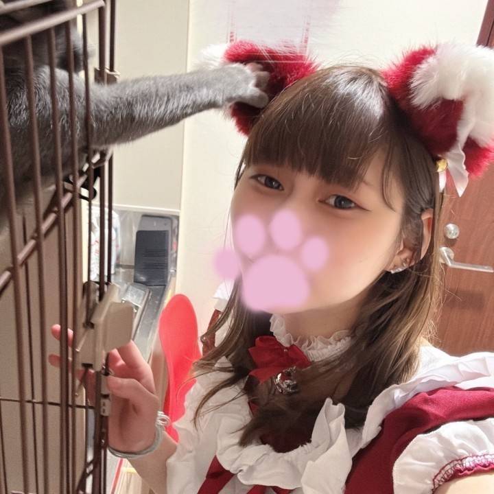 猫の手、孫の手🐈