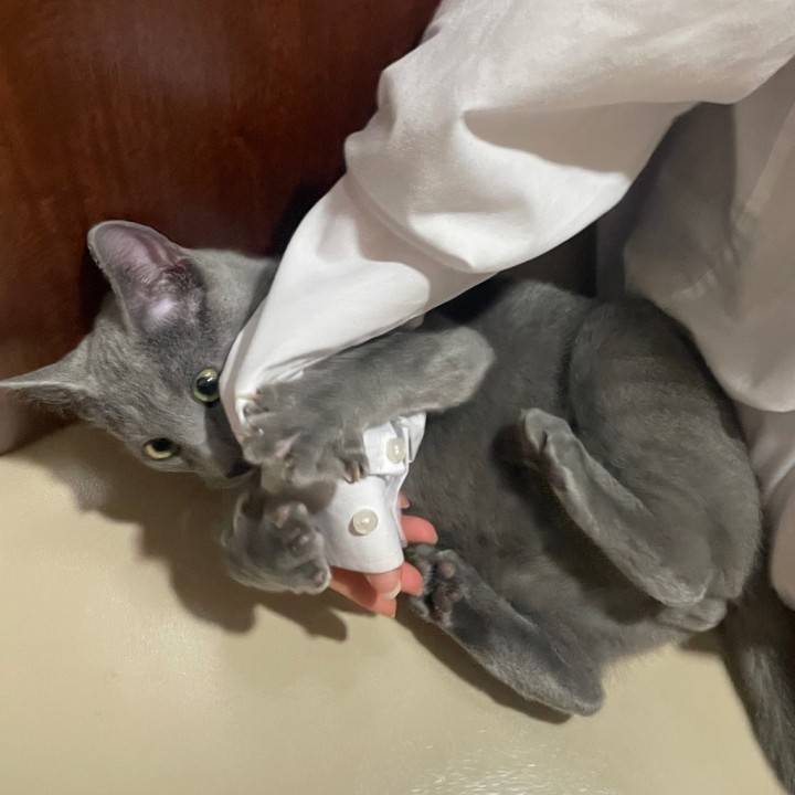 一旦14日まで~︎💕︎︎