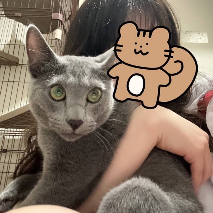 こみきゃん推し