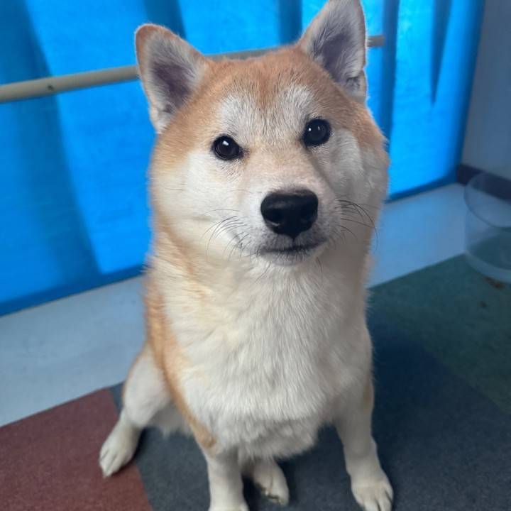 松山2日目✌🏻