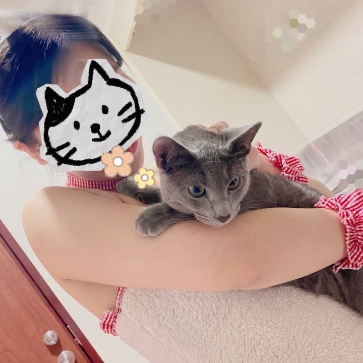 よろしくお願いします!