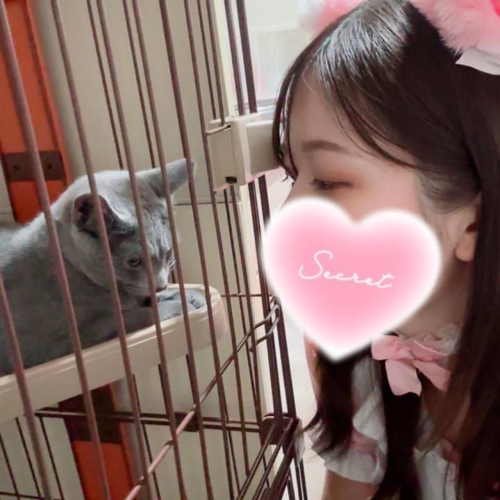 おはようございます！