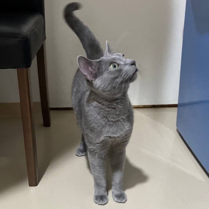 お疲れさまです!