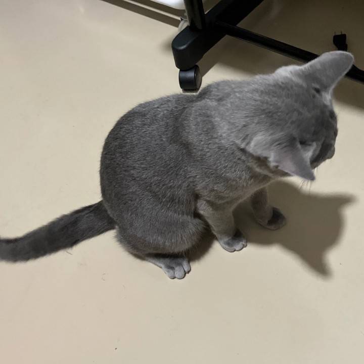 おはようございます〜