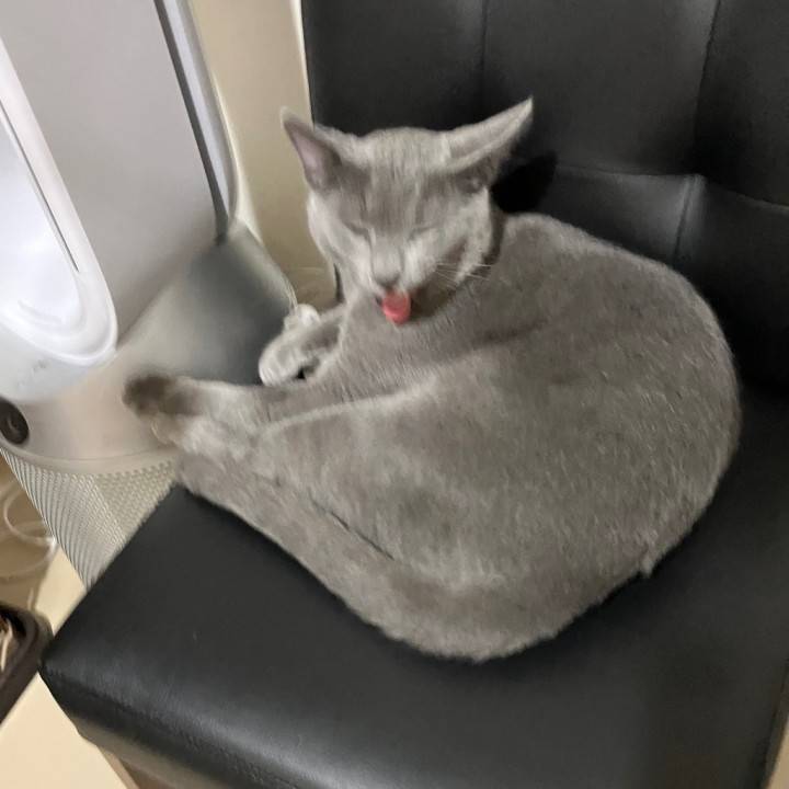 本日もありがとうございました!