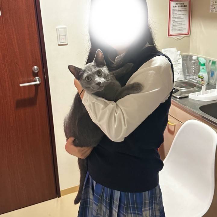 🐈