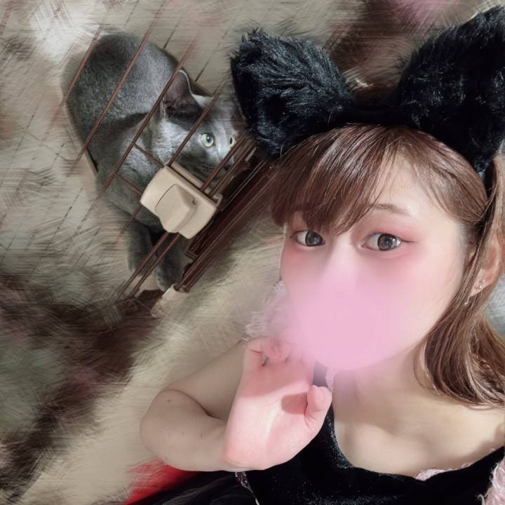 にゃん娘🐈‍⬛