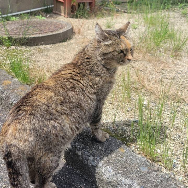 出勤なう!