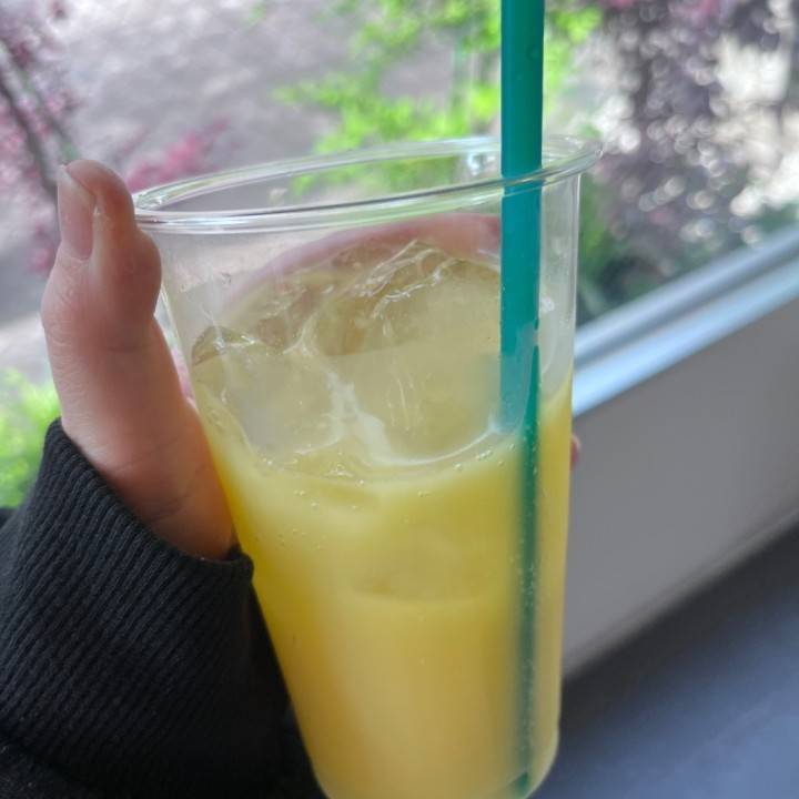昼ごはんを求めて三千里