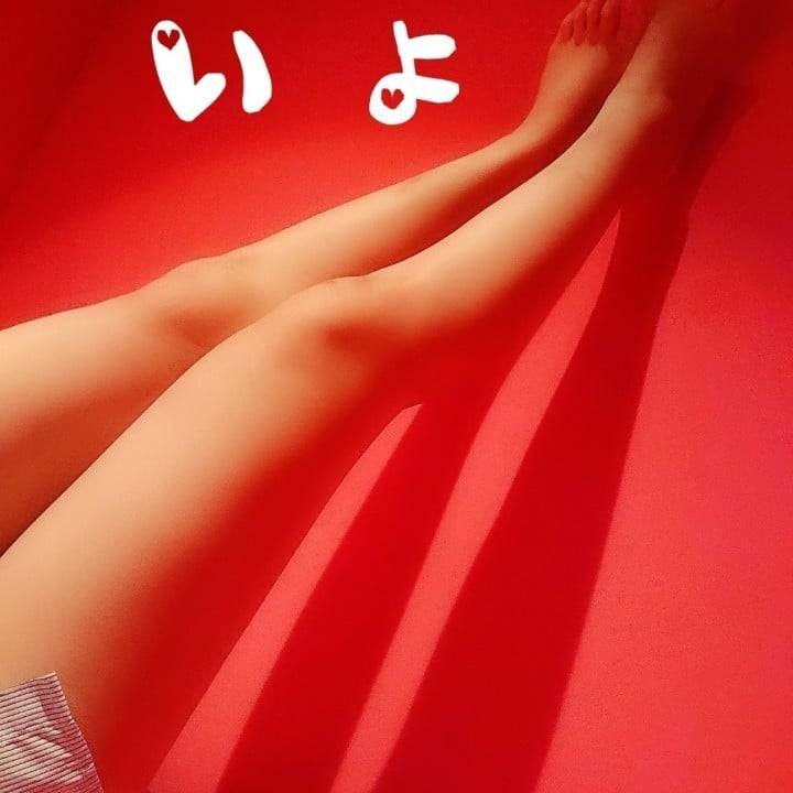 おひまにゃんこ