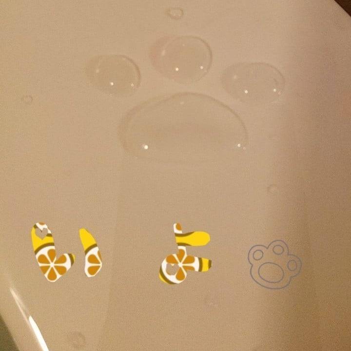 肉球型の滴 🐾💧