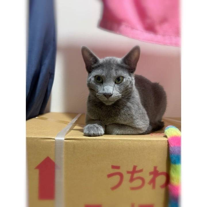 愛媛4️⃣日目🍊