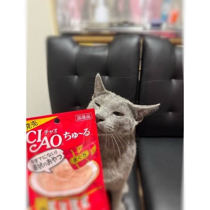 (⊃ᴖ⩊ᴖ)⊃💕