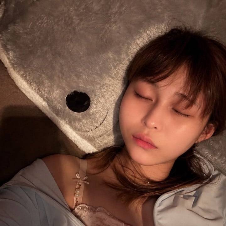 🦈と🐑