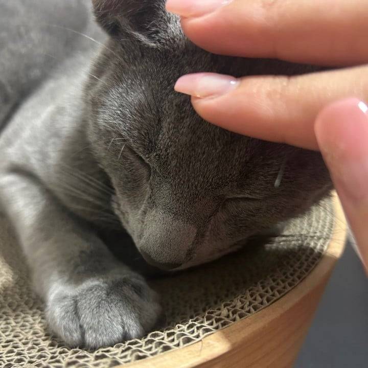 レベルアップしました🧚🏻‍♀️