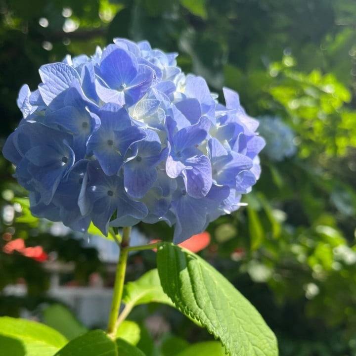 申し訳ございません🙇‍♀️