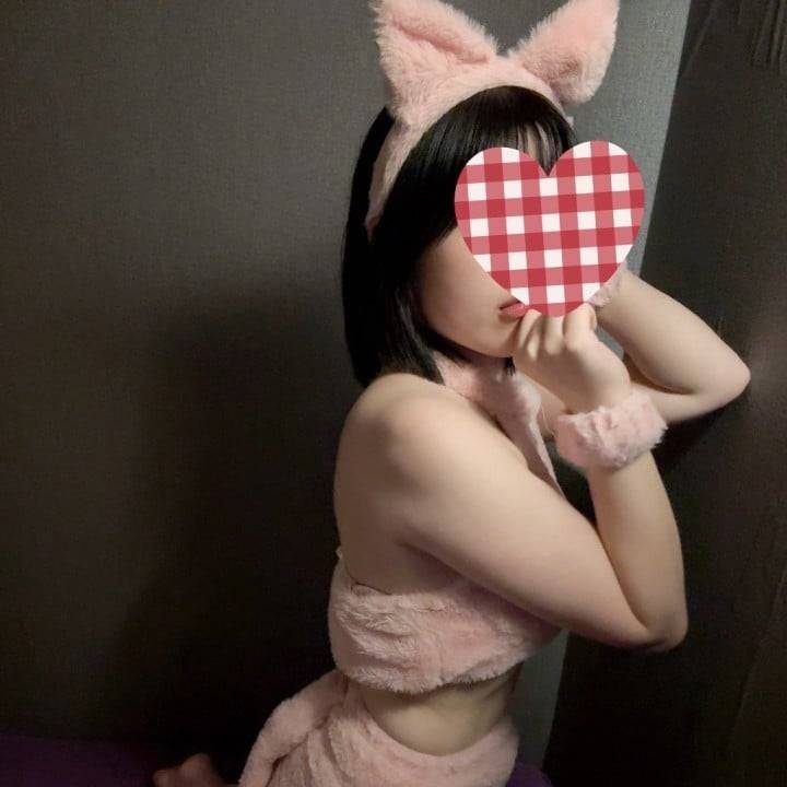 皆は犬派？猫派？🐶🐱