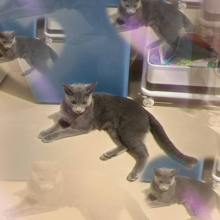 震える