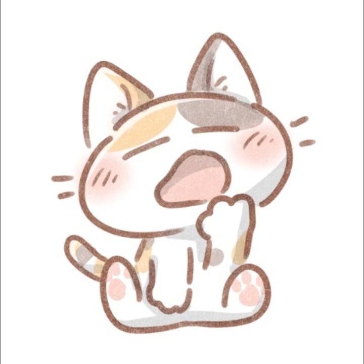 まさかの欠航😱