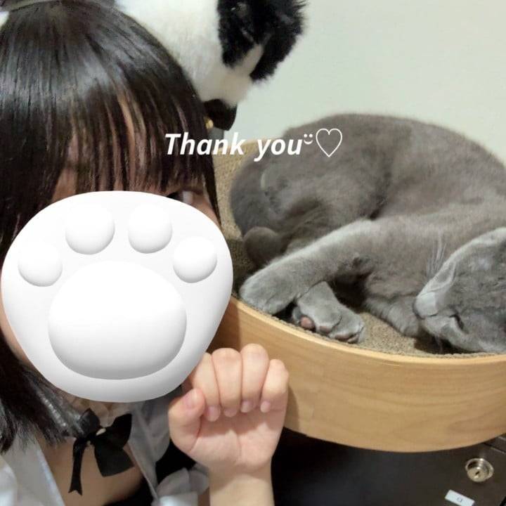 ありがとう🐱💕