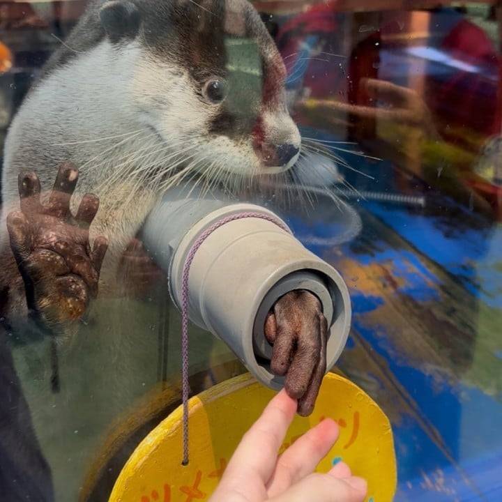 もちもちふわふわ