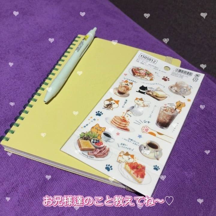 運命の出会い…🐱♡