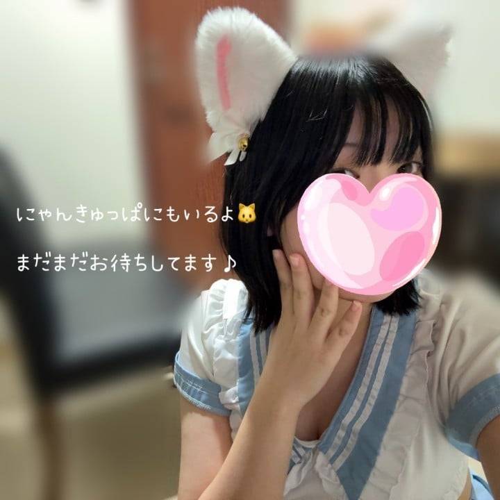 にゃんきゅっぱにもいるよ〜🐱♡