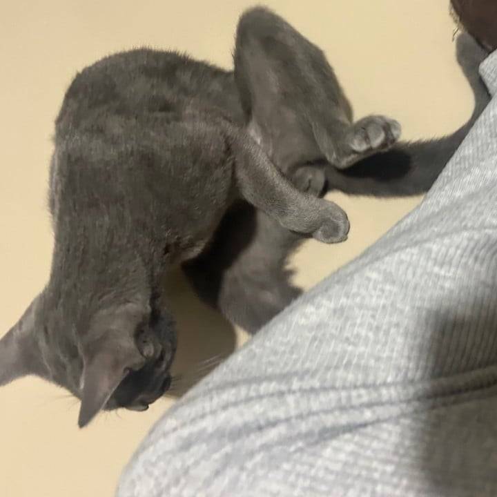 リコ大変満足しました（╹◡╹）