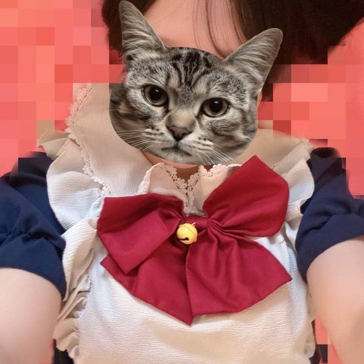 こんにちは
