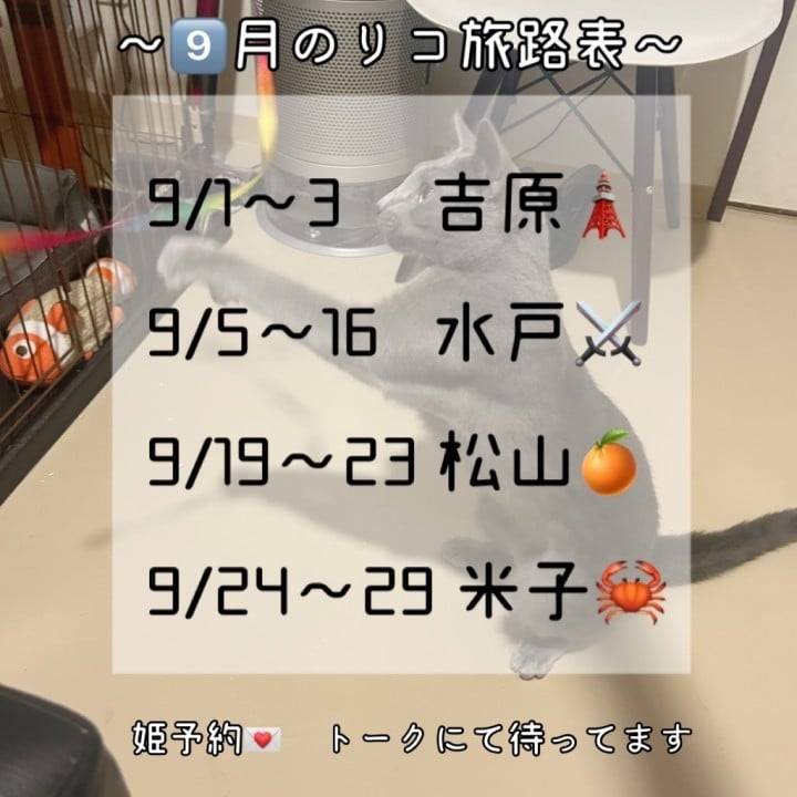 9月のリコ旅です📅