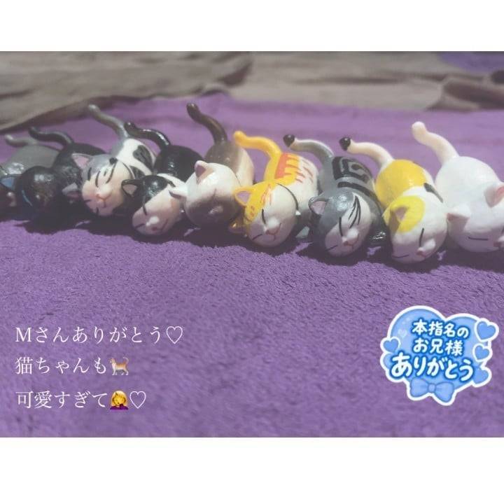 Mさん猫ちゃんもありがとう♡♡