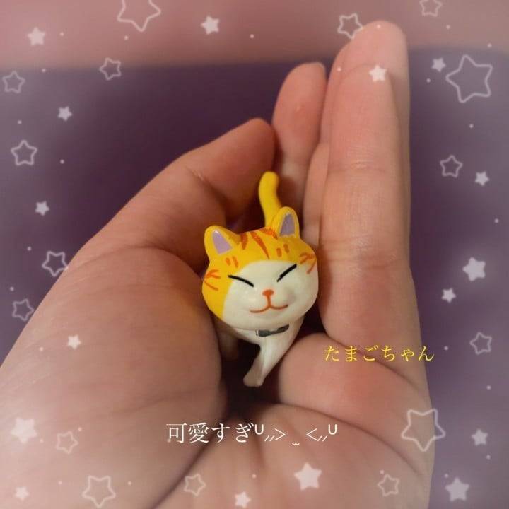 今日の出勤のお供は…ฅ( ̳• ·̫ • ̳ฅ)♡