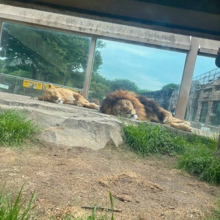 ともか(ハピネス&ドリーム 松山道後温泉)