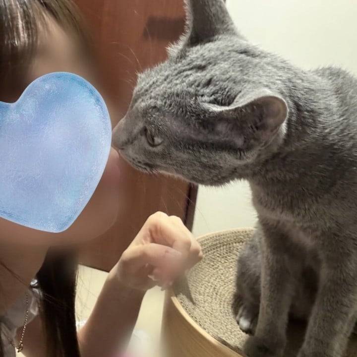 🐈🐾