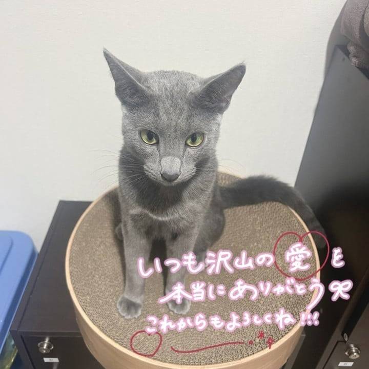 松山今月もよろしくお願いします🍊