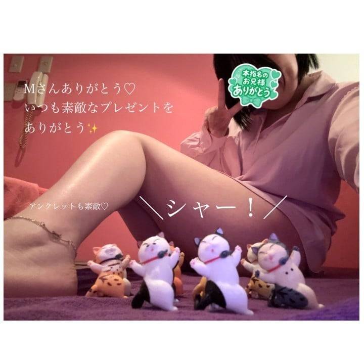 Mさんいつもありがとう♡猫ちゃんズ！！