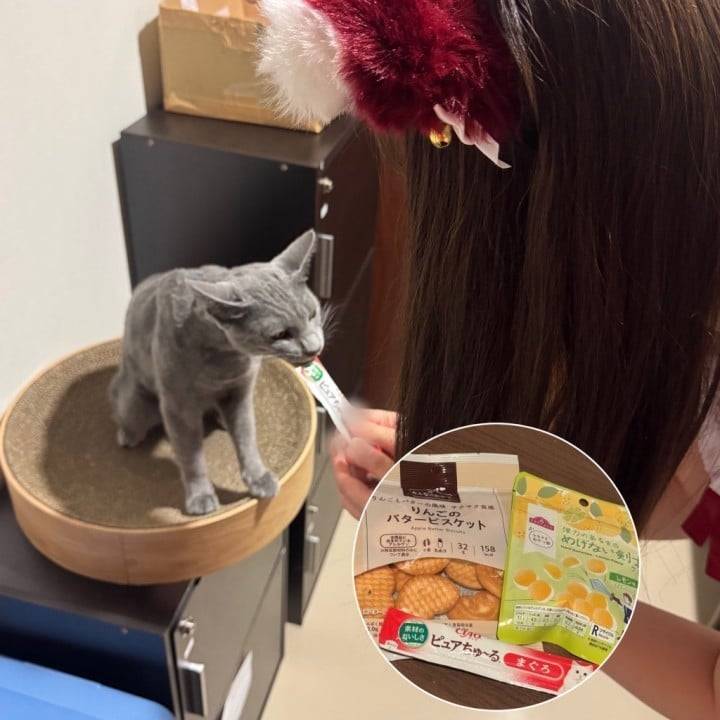 🐱