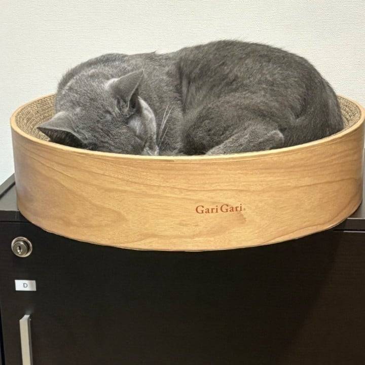 頑張って治す