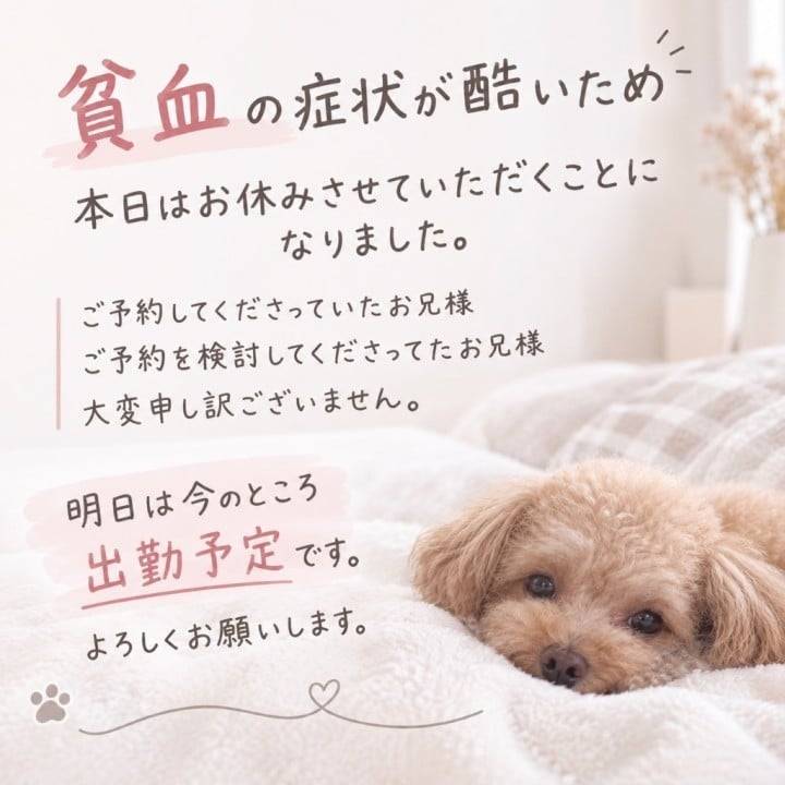 お休みさせていただきました🥲申し訳ありません💦