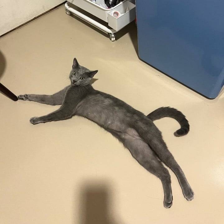 たくさんシよ、、♡♡
